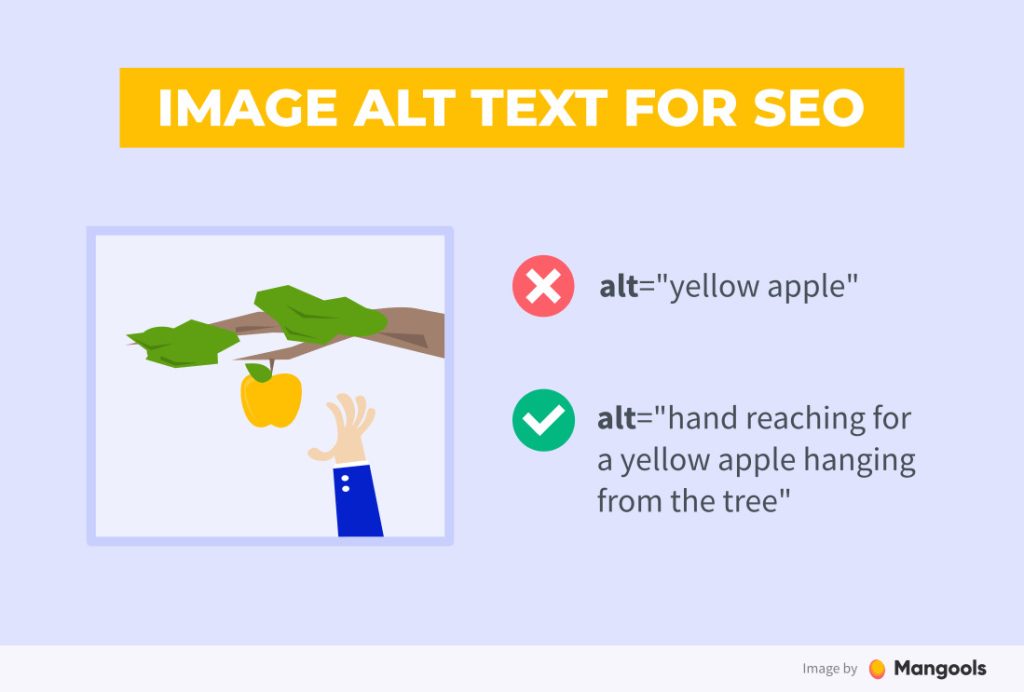 Image Alt Text for SEO helps users and readers access and understand website content 1