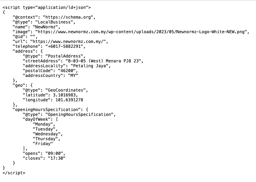 Local business schema inserted in the Newnormz homepage