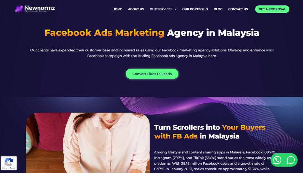 Newnormz is an agency that had facebook advertising services